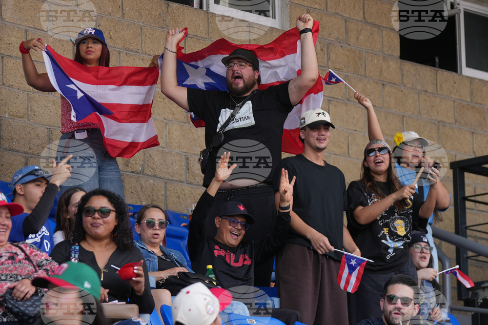 Puerto Rico Dominican Republic Baseball