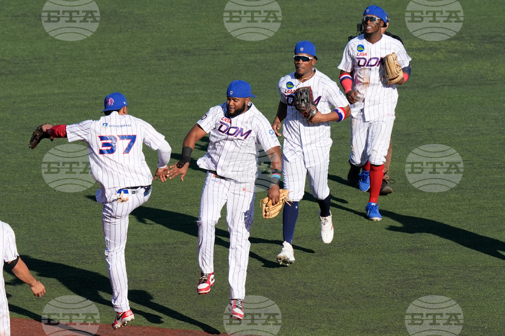 Puerto Rico Dominican Republic Baseball