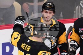 Senators Penguins Hockey