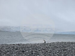 Антарктида - остров Ливингстън - научноизследователски кораб "Св. Кирил и Методий"