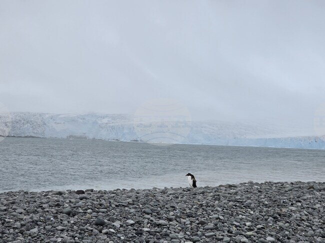 Научноизследователският кораб "Св. св. Кирил и Методий" посети днес Хана Пойнт на Антарктида
