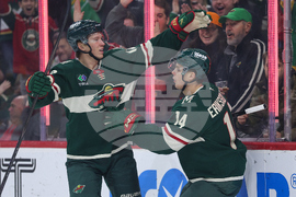 Canadiens Wild Hockey