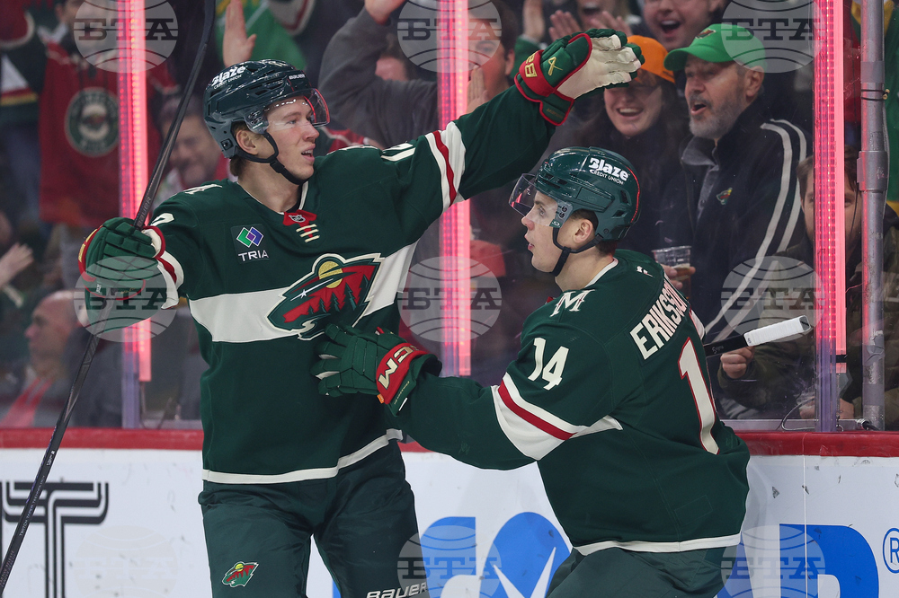 Canadiens Wild Hockey