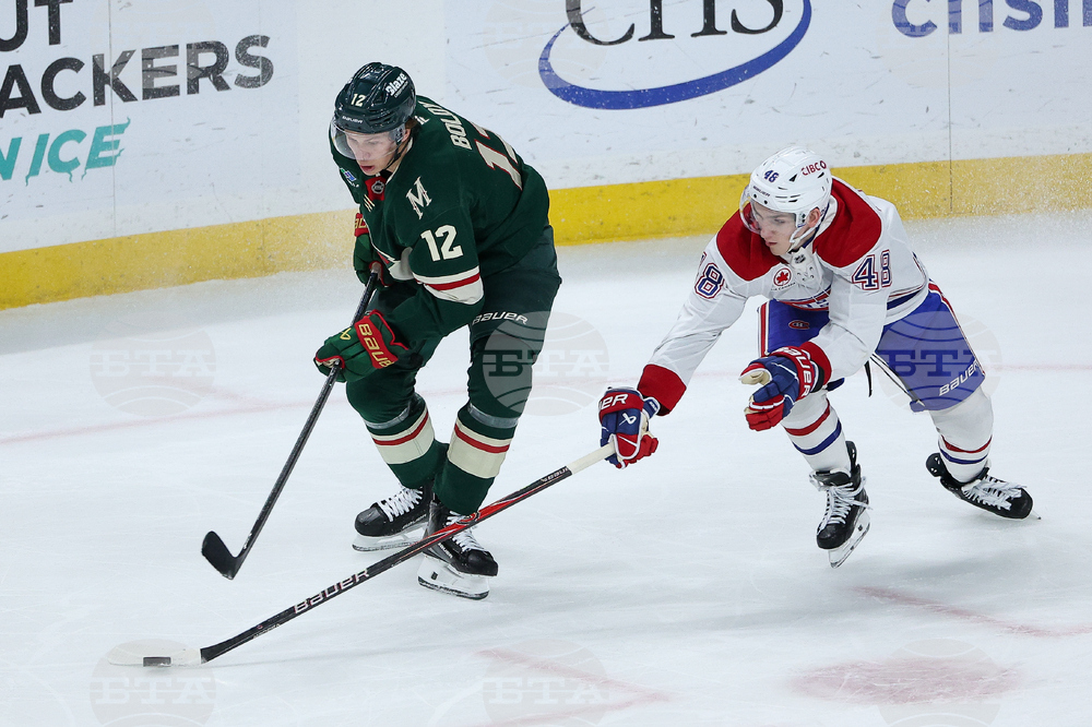 Canadiens Wild Hockey