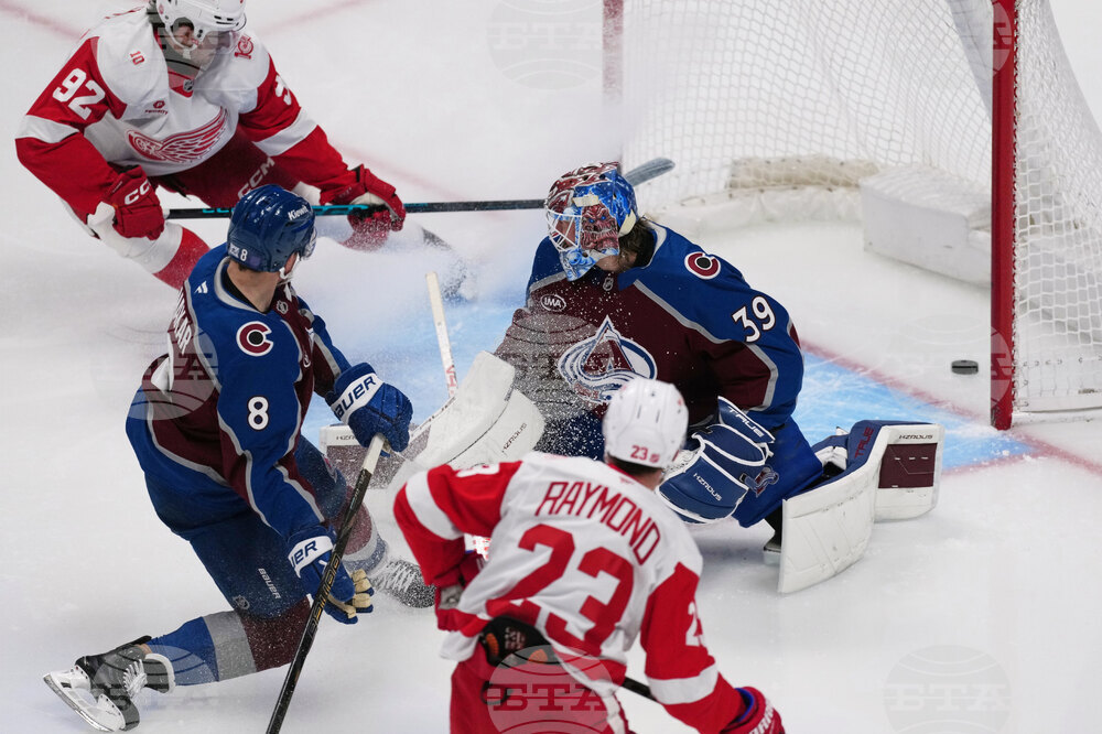 Red Wings Avalanche Hockey