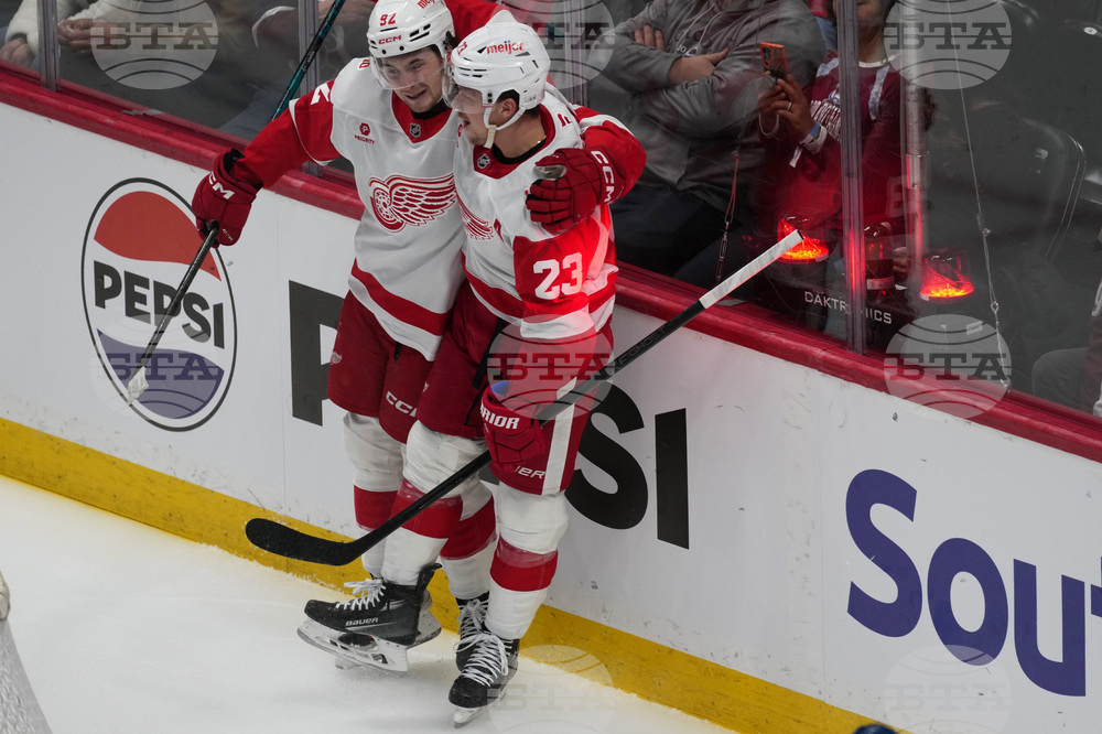 Red Wings Avalanche Hockey