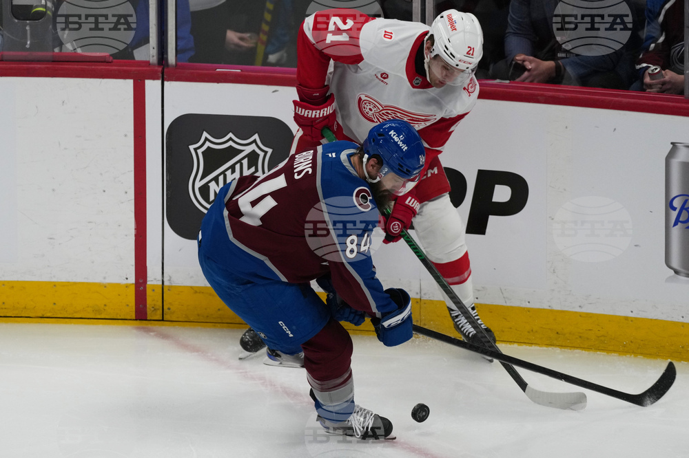 Red Wings Avalanche Hockey