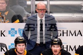 Senators Penguins Hockey