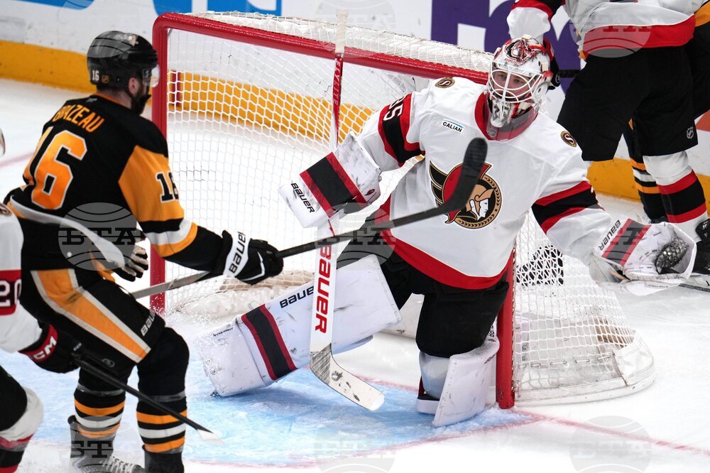 Senators Penguins Hockey