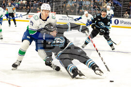 Canucks Mammoth Hockey