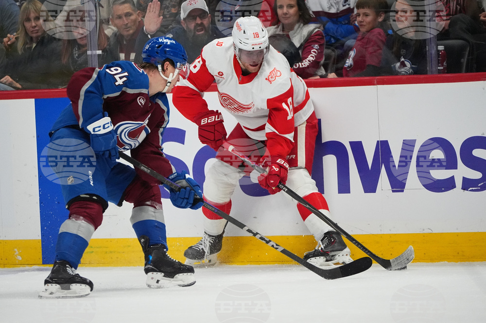 Red Wings Avalanche Hockey