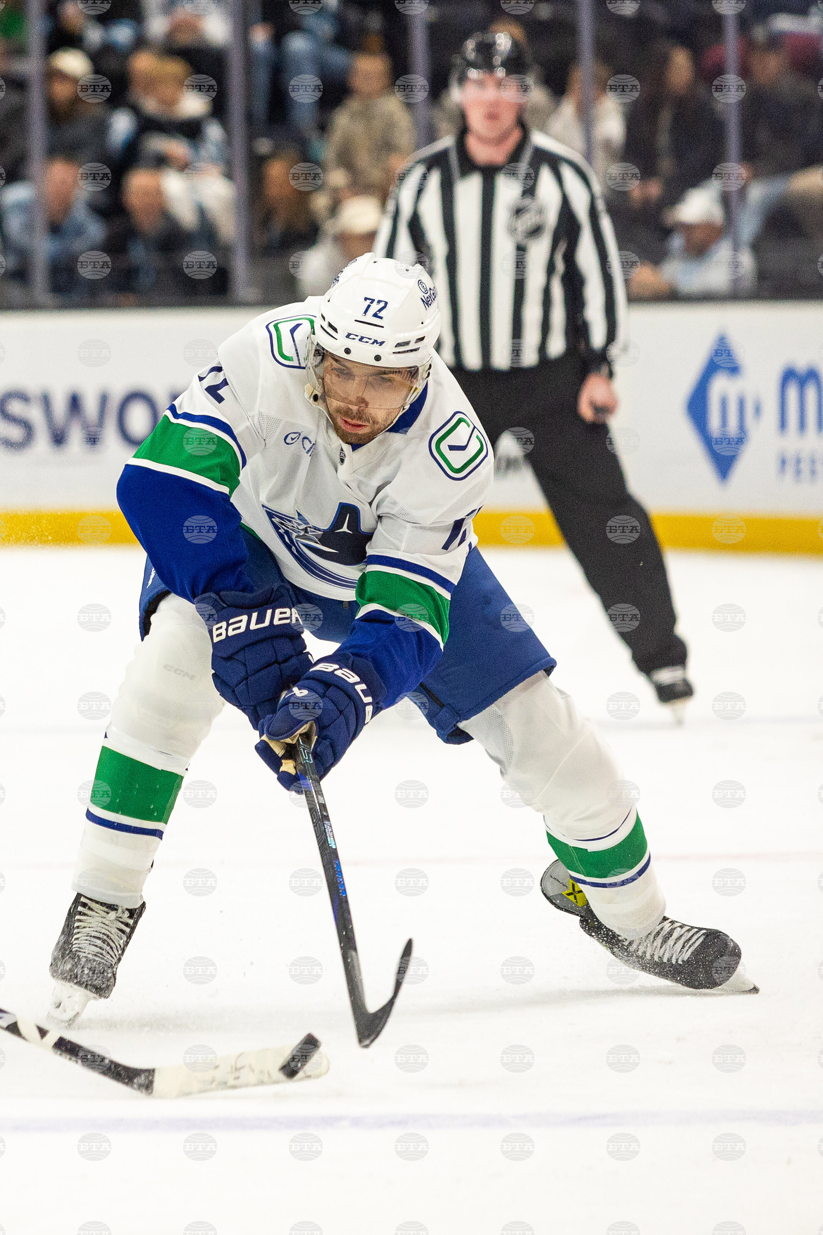 Canucks Mammoth Hockey