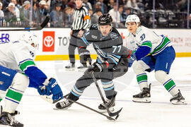 Canucks Mammoth Hockey