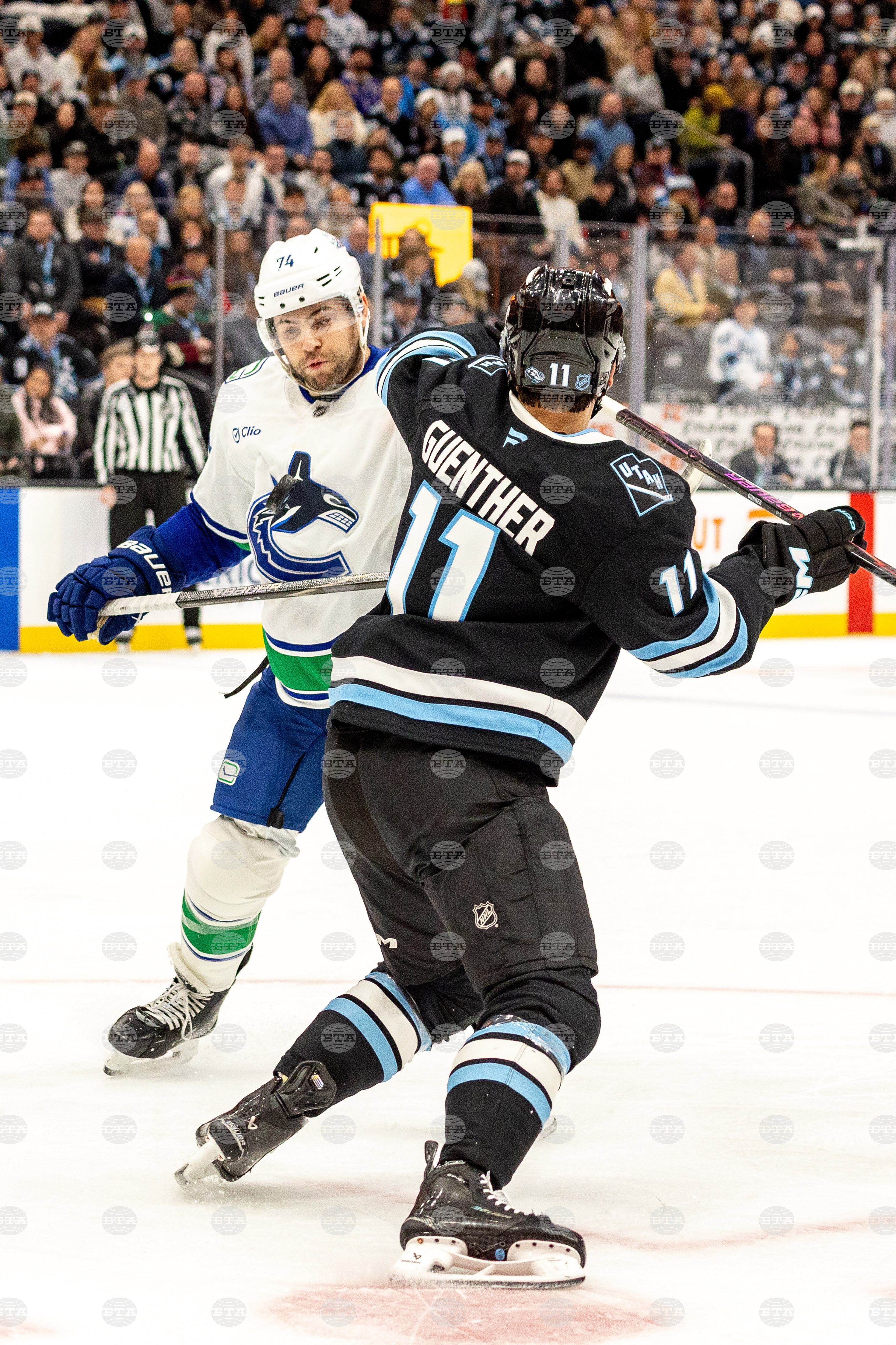 Canucks Mammoth Hockey