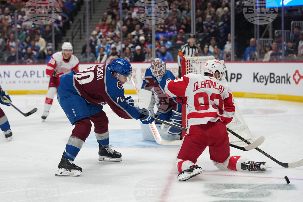 Red Wings Avalanche Hockey
