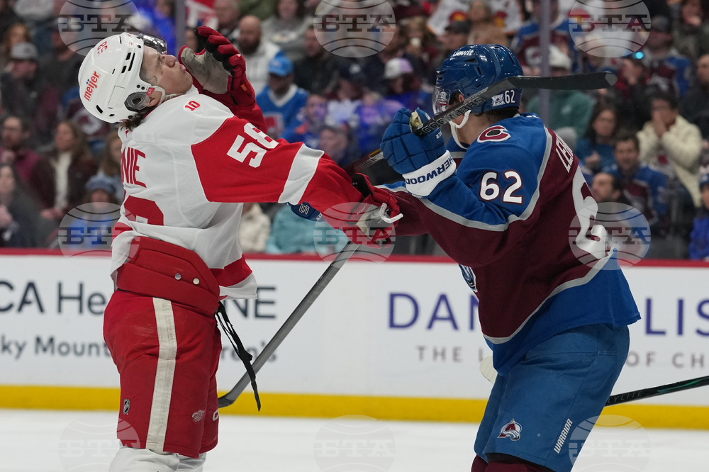 Red Wings Avalanche Hockey