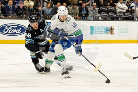 Canucks Mammoth Hockey