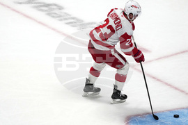 Red Wings Avalanche Hockey