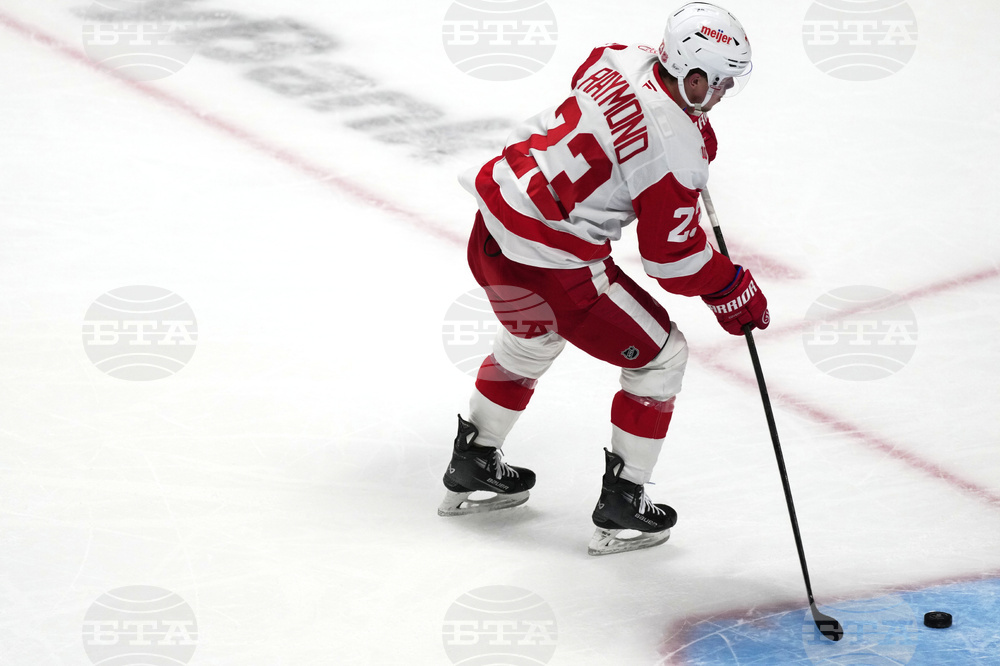 Red Wings Avalanche Hockey