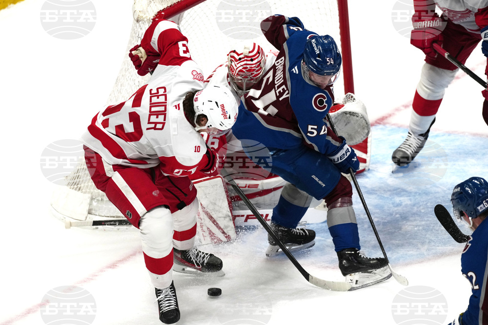 Red Wings Avalanche Hockey