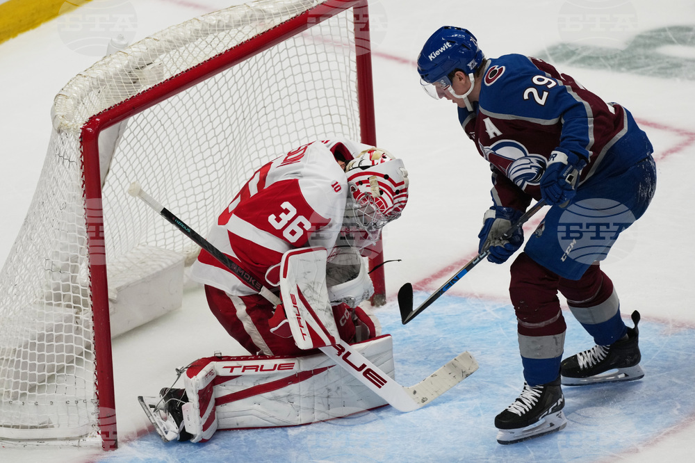Red Wings Avalanche Hockey