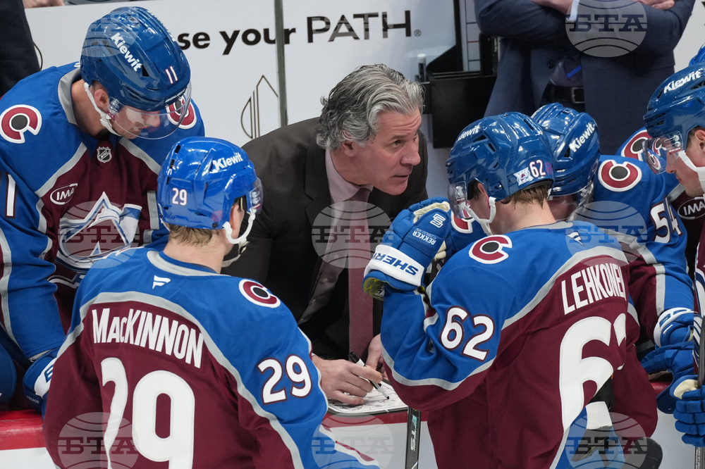 Red Wings Avalanche Hockey