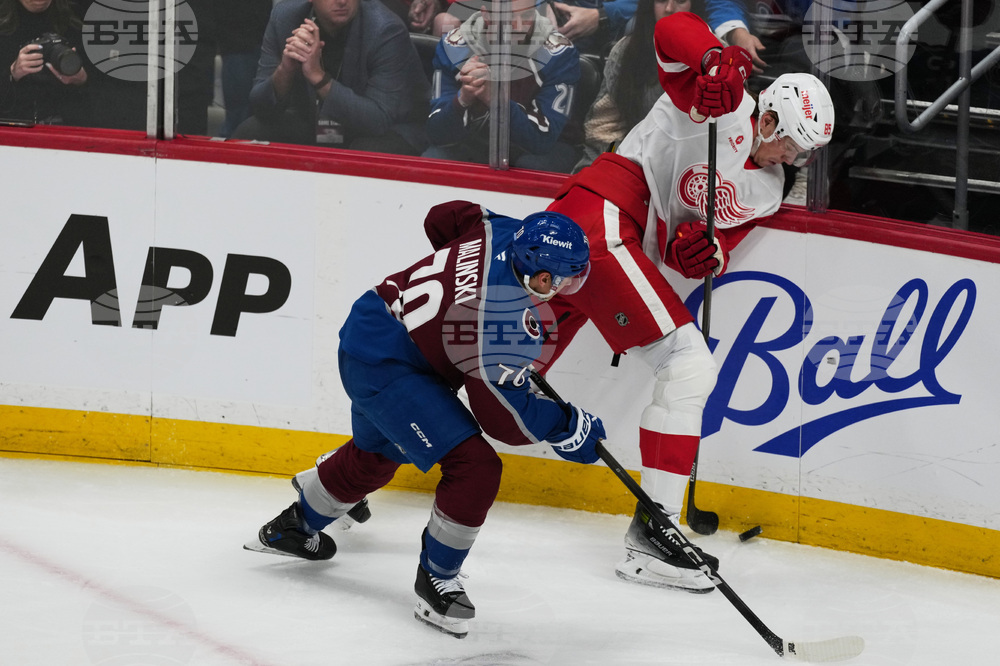 Red Wings Avalanche Hockey