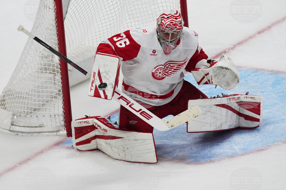 Red Wings Avalanche Hockey