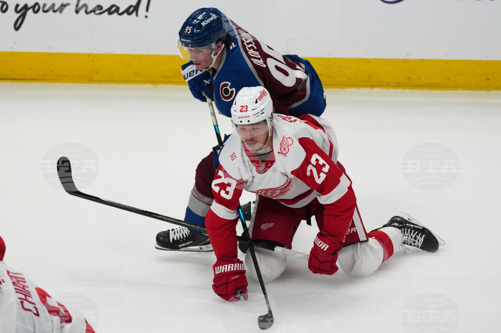 Red Wings Avalanche Hockey