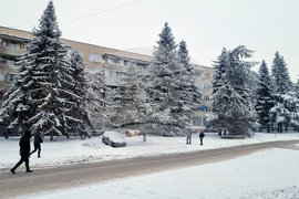 Търговище - пътища - обстановка