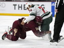 Wild Coyotes Hockey
