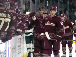 Wild Coyotes Hockey