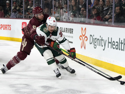 Wild Coyotes Hockey