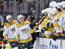 Predators Ducks Hockey