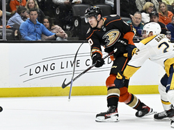 Predators Ducks Hockey