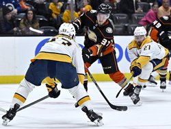 Predators Ducks Hockey