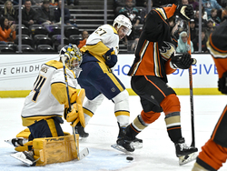 Predators Ducks Hockey