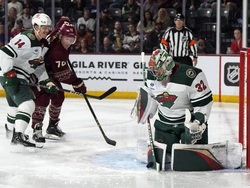 Wild Coyotes Hockey