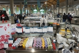 Milan Cortina Olympics