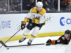 Predators Ducks Hockey