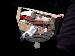 Храна за нуждаещи се - раздаване