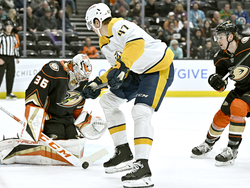 Predators Ducks Hockey