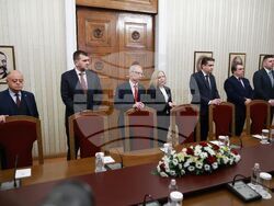 Президентство - ПП-ДБ - консултации