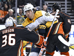 Predators Ducks Hockey