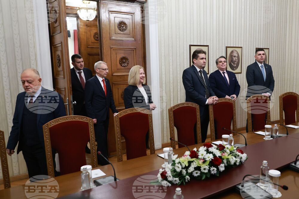 Президентство - ПП-ДБ - консултации