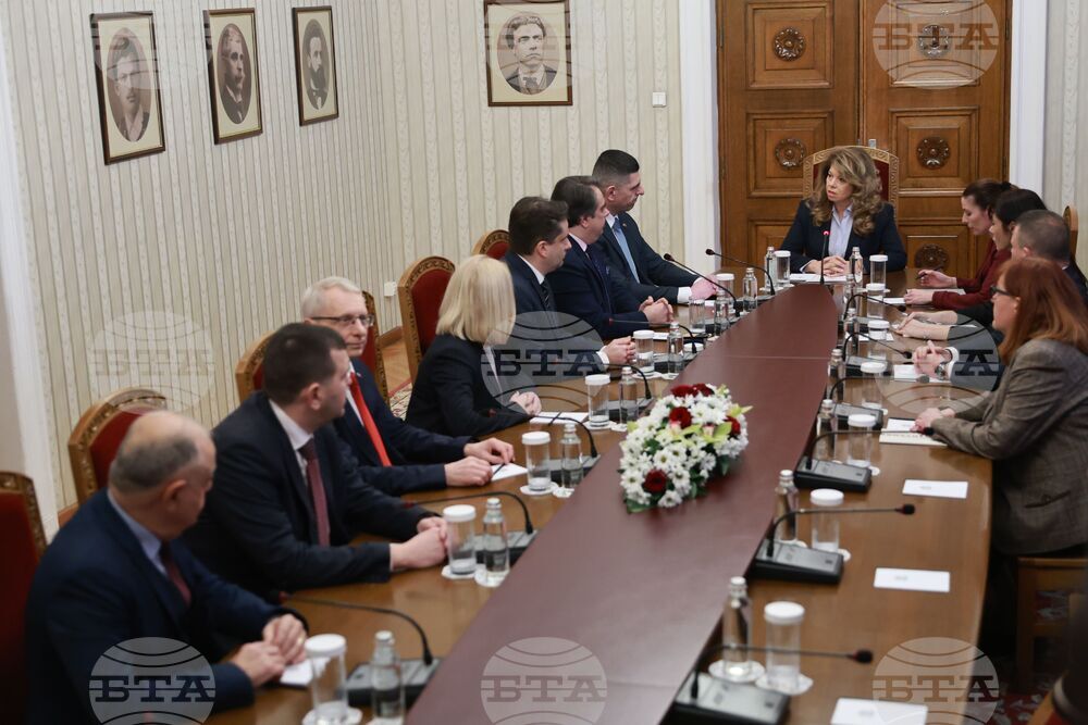 Президентство - ПП-ДБ - консултации