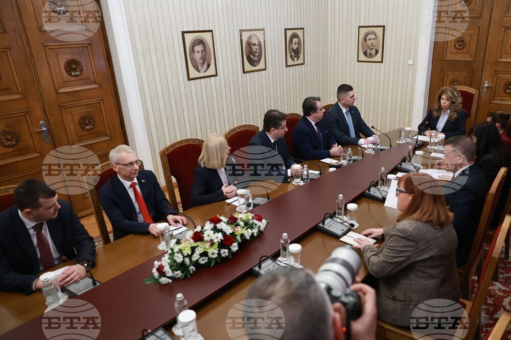 Президентство - ПП-ДБ - консултации