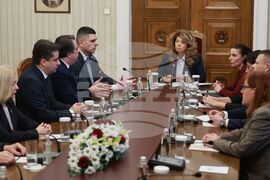 Президентство - ПП-ДБ - консултации