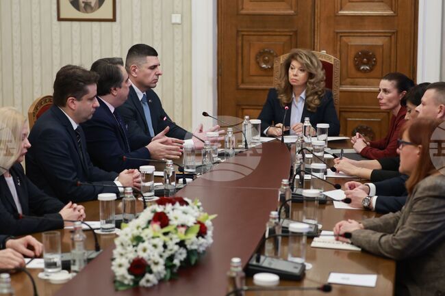 Президентство - ПП-ДБ - консултации