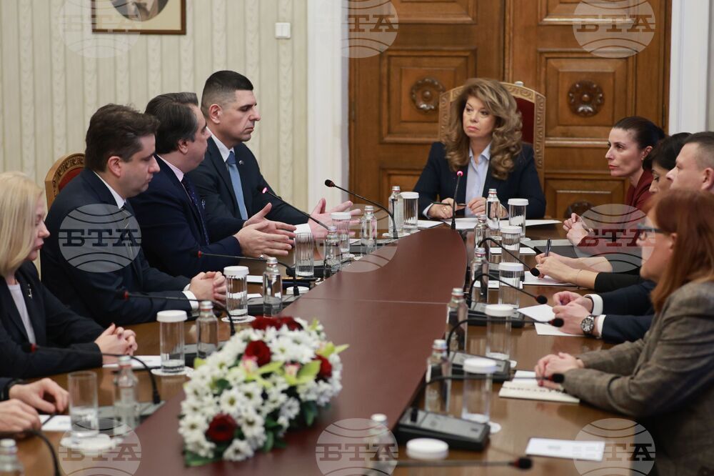 Президентство - ПП-ДБ - консултации